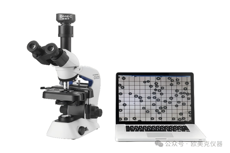 �w���������α������g(sh��)��ˮ��Ϳ�����ܺ�Ϳ�bЧ���ϵđ�(y��ng)��,�Lɳ�x����˾_�Lɳ�x��������_���σx���S��