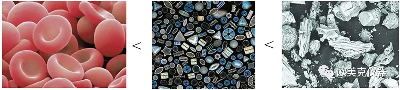 �ļ{�����ȃx���������ȃxԭ��������x�����Ȝyԇ����,�Lɳ�x����˾_�Lɳ�x��������_���σx���S��