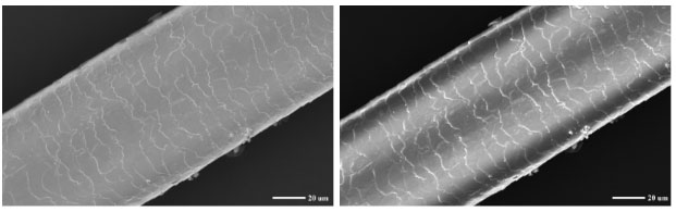毛發樣品.jpg 毛發樣品.jpg