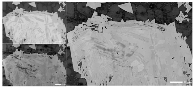多種信息同時成像.jpg 多種信息同時成像.jpg