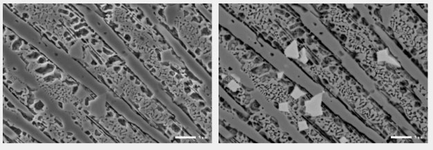 鎢鋼合金樣品.jpg 鎢鋼合金樣品.jpg